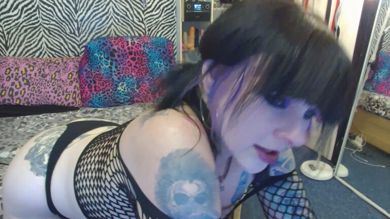 Kitty_Fox's Streamate show and profile